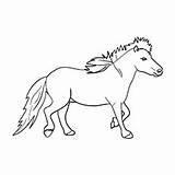 Horse Coloring Pages Miniature Horses Color Printable Irish Sport Toddler Draught sketch template