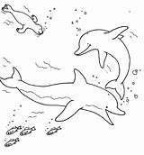 Ausmalbilder Sharky Fanpage Capt sketch template