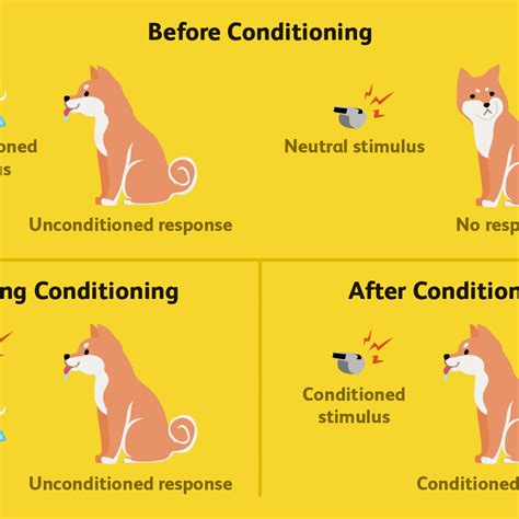 classical conditioning examples   classroom slideshare
