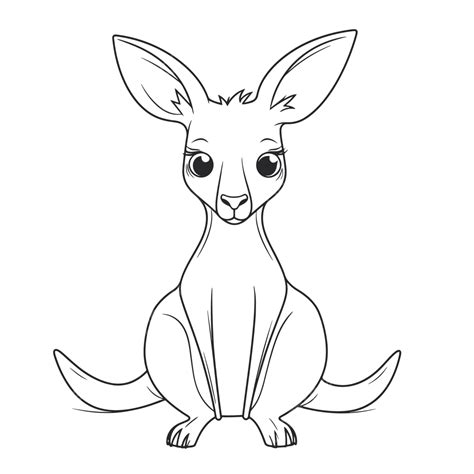 cute kangaroo coloring   white background outline sketch drawing