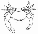 Crab Coloring Spider Pages Blue Printable Drawing Sebastian Template Horseshoe Color Getdrawings Designlooter Cool2bkids Getcolorings Drawings Kids 1kb Sketch sketch template