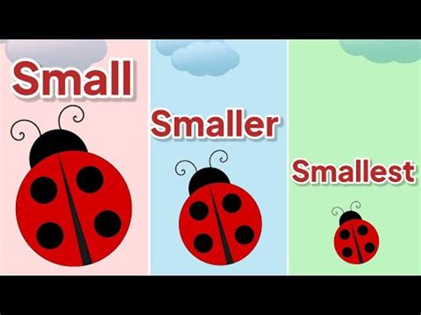 small smaller smallest compare sizes kindergarten lessons math