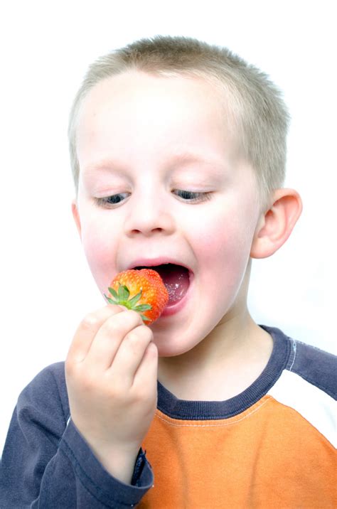 happy  boy eats strawberries  stock photo public domain