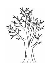 Tree Bare Coloring Pages sketch template