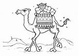 Colouring Colorear Kamel Prophet Ausmalen Camelo Desierto Qatar Camels Camello Camellos Lds Cindy Mormon Getdrawings Deserto Muhammad Webstockreview Kaba Activity sketch template