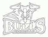 Bulls Coloring Chicago Logo Pages Drawing Colouring Colorine Chicagobulls Getdrawings sketch template
