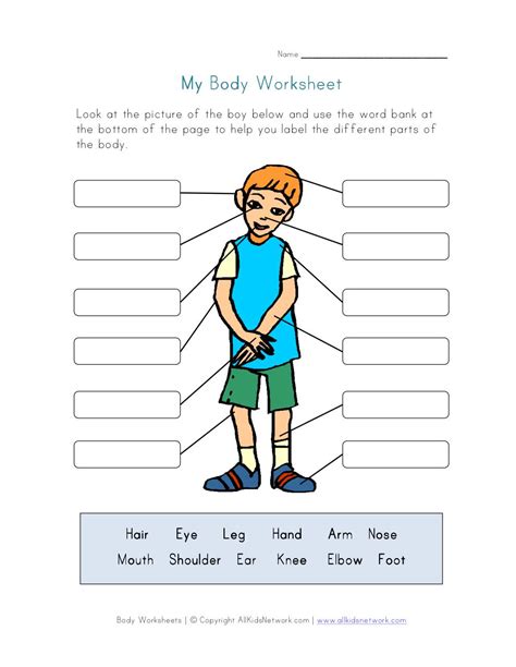 body parts worksheet par allkidsnetworkcom fichier