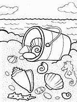 Coloring Pages Shells Sea Shell Getdrawings sketch template