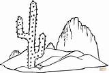 Kaktus Saguaro Cacto Bestcoloringpagesforkids Ausmalbild Pintar Desierto Printmania Imagixs sketch template