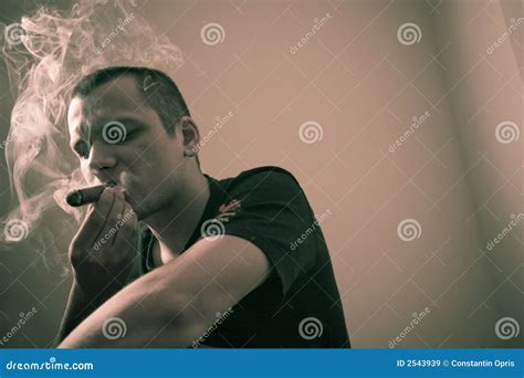 rokende sigaar stock afbeelding image  modellering