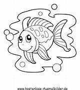 Wasser Fisch Fische Malvorlagen Ausmalbild Tierbabys Ausmalen Kostenlose Malvorlage Mit Kostenlosen Basteln sketch template
