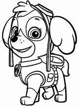 Para Colorear Paw Patrol Marshall Pintar Canina Patrulla Dibujos Visitar Skye Coloring Pages Dibujo Imprimir sketch template