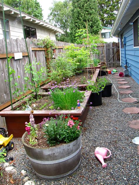gardener  progress side yard  driveway gardens