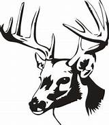 Head Deer Clipart Buck Cliparts Hunting Decals Sticker Tribal Skull Clipartbest Designs Clipground Fishing Computer Library sketch template