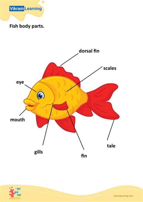fish body parts worksheets vikramlearningcom