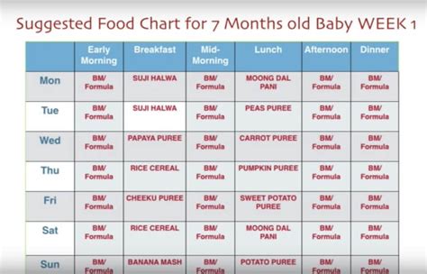 healthy diet chart  indian family  hindi