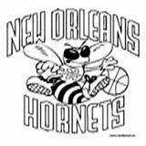 Coloring Hornets Orleans Pages Nba Basketball Thunder Colormegood sketch template