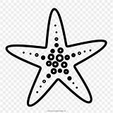 Etoile Starfish Colorare Immagini Clipartkey Favpng sketch template