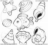 Fish Coloring Shells Outlines Illustration Shell Sea Collage Digital Clipart Pages Clip Royalty Vector Visekart Conch Outline Seashells Drawings Kids sketch template