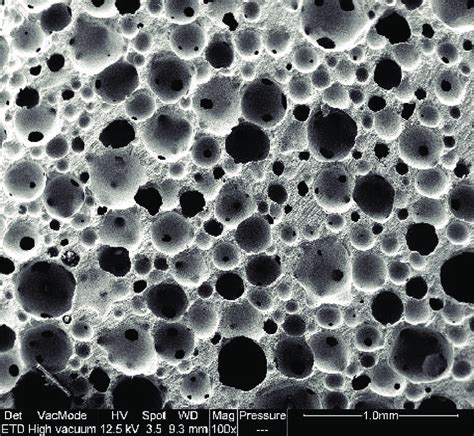 porous microstructure  sintered porous tcptio   scientific diagram