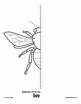 Symmetry Coloring Pages Bug Bee Kids Insect Insects Artforkidshub Insectes Symmetrical Drawing Symetrie Bugs Simetria Beetle Printable sketch template