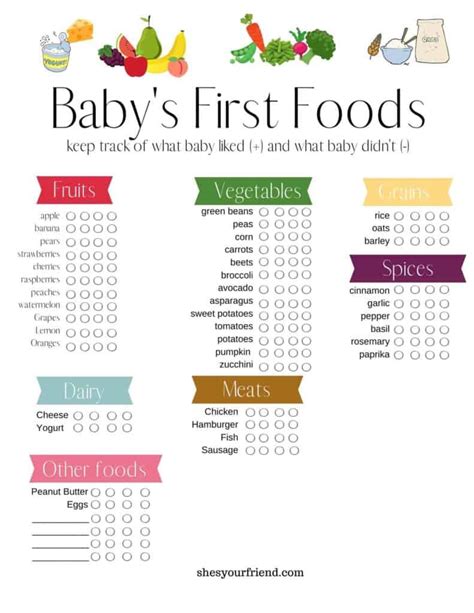 introducing baby food  complete guide shes  friend