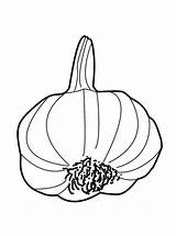 Garlic Coloring Pages Vegetables Kids Fruits Drawing Sheet Fun Color Paintingvalley sketch template