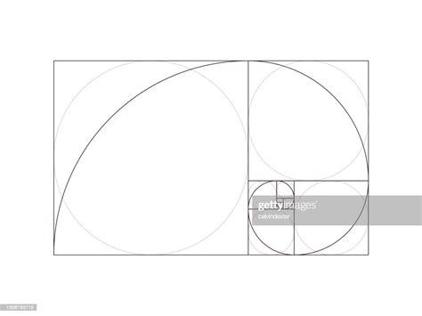 Golden Ratio Fibonacci Sequence Editable Strokes High Res Vector