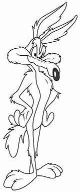 Runner Coloring Road Pages Cartoon Coyote Wolf Wile Looney Tunes Cartoons Character Sheets Printable Kleuren Kleurplaten Bladzijden Boek Disney Tekeningen sketch template