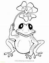 Frog Coloring Pages Sweet Printable Adult Getdrawings sketch template
