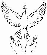 Dove Coloring Pages Peaceful Adults Releasing Rocks Adult Print sketch template
