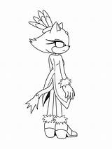 Blaze Coloring Pages Cat Sonic Aj Style Library Template Colouring Coloringhome Hedgehog sketch template