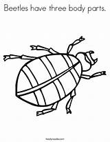Insect Beetles sketch template