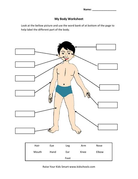body parts worksheet  kids kidsworksheetfun