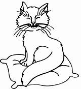 Coloring Para Colorear Gatos Cat Pillow Dibujo Cats Infantil Kidprintables Pages Printable sketch template