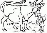 Cow Coloring Milk Drink sketch template