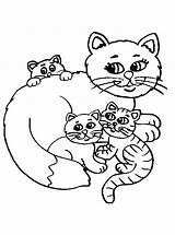 Mamma Cuccioli Gatto Gatti Kittens sketch template