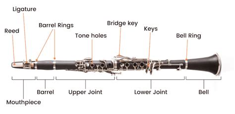parts   clarinet  anatomy explained