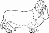 Hound Basset Coloring Pages Dog Draw Getcolorings Color Drawing Choose Board Print Dragoart Step sketch template