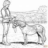 Pony Shetland Colouring Ausmalbild Ponies Zum sketch template