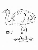 Emu Hernando Supercoloring Ausmalbild Aborigine sketch template