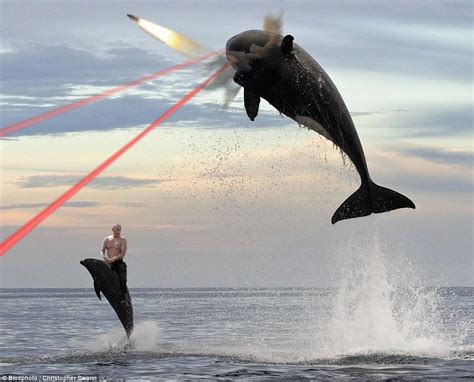 23 Things That Russian President Vladimir Putin Is Riding