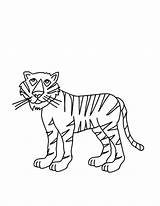 Tiger Coloring Pages Printable Wild Animals Kids Stripes Cute Funny sketch template