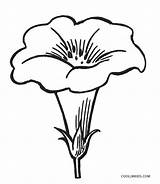 Cool2bkids Ausmalbilder Coloriage Heliconia Blumen Maternelle Bud sketch template