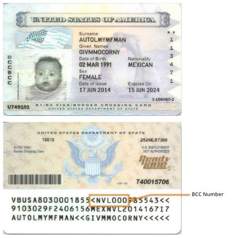 visa number   bcc laser visa  border crossing card porn sex picture