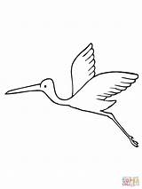 Coloring Pages Stork Storks Popular Coloringhome sketch template