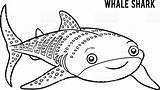 Shark Basking Coloring Vector Whale Illustrations 16kb 1024 Similar sketch template