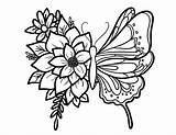 Floral Scyap Scyapinc sketch template