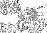 Reef Coral Coloring Pages Ecosystem Sea Forest Barrier Great Fish Turtle Drawing Printable Clipart Kids Getcolorings Color Clip Getdrawings Labels sketch template