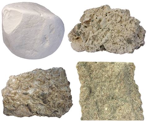 limestone sedimentary rocks